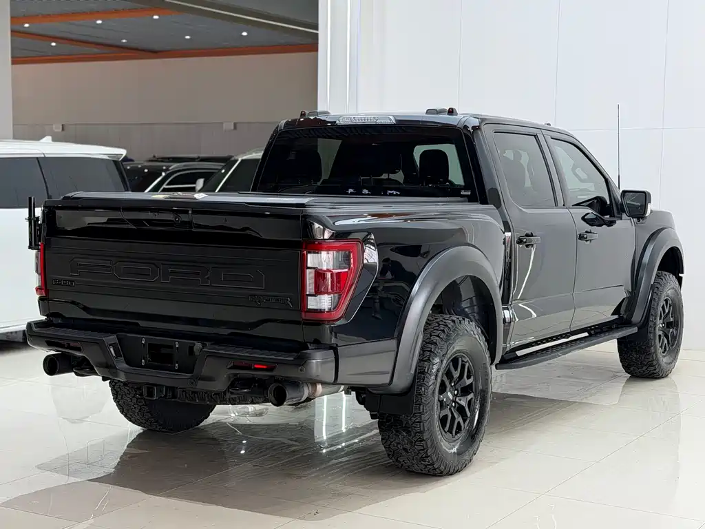 Ford F-150 Raptor 2024 — фото 15