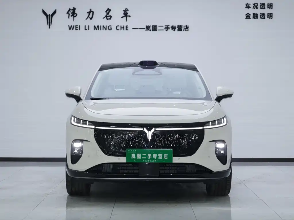VOYAH Zhiyin 2025