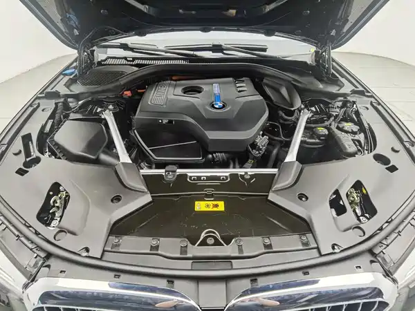 BMW 5 Series New Energy 2019