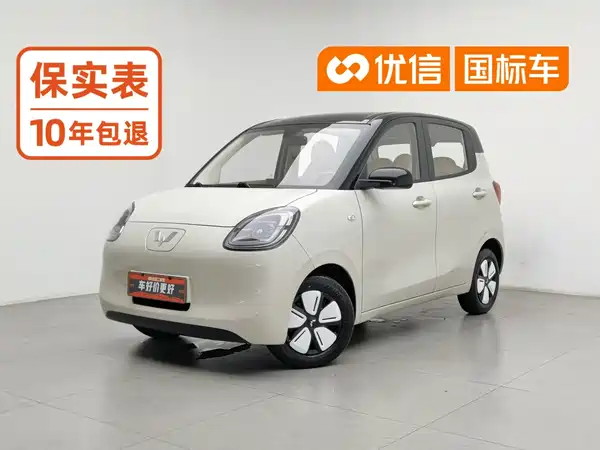 Wuling Hongguang MINIEV 2025