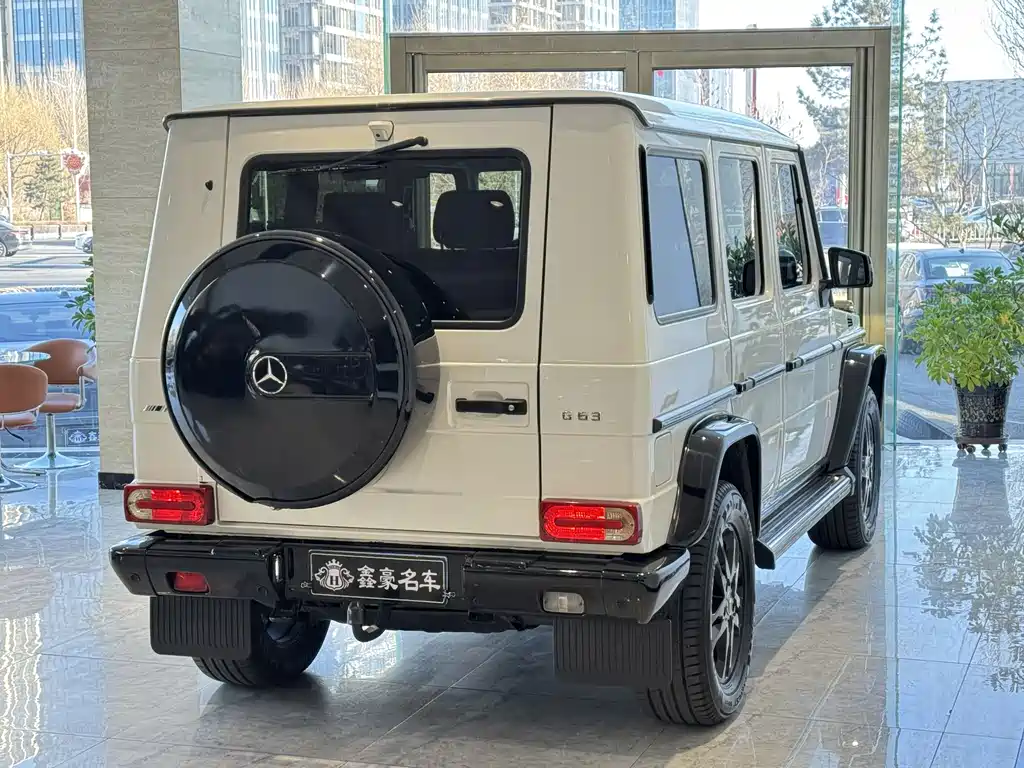 Mercedes-Benz G-Class 2012 — фото 18