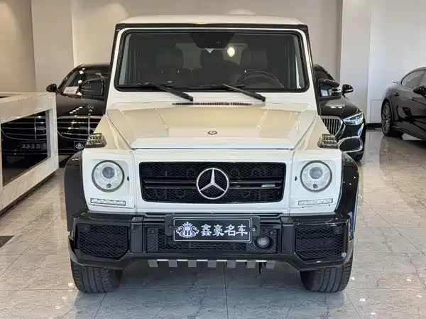 Mercedes-Benz G-Class 2010