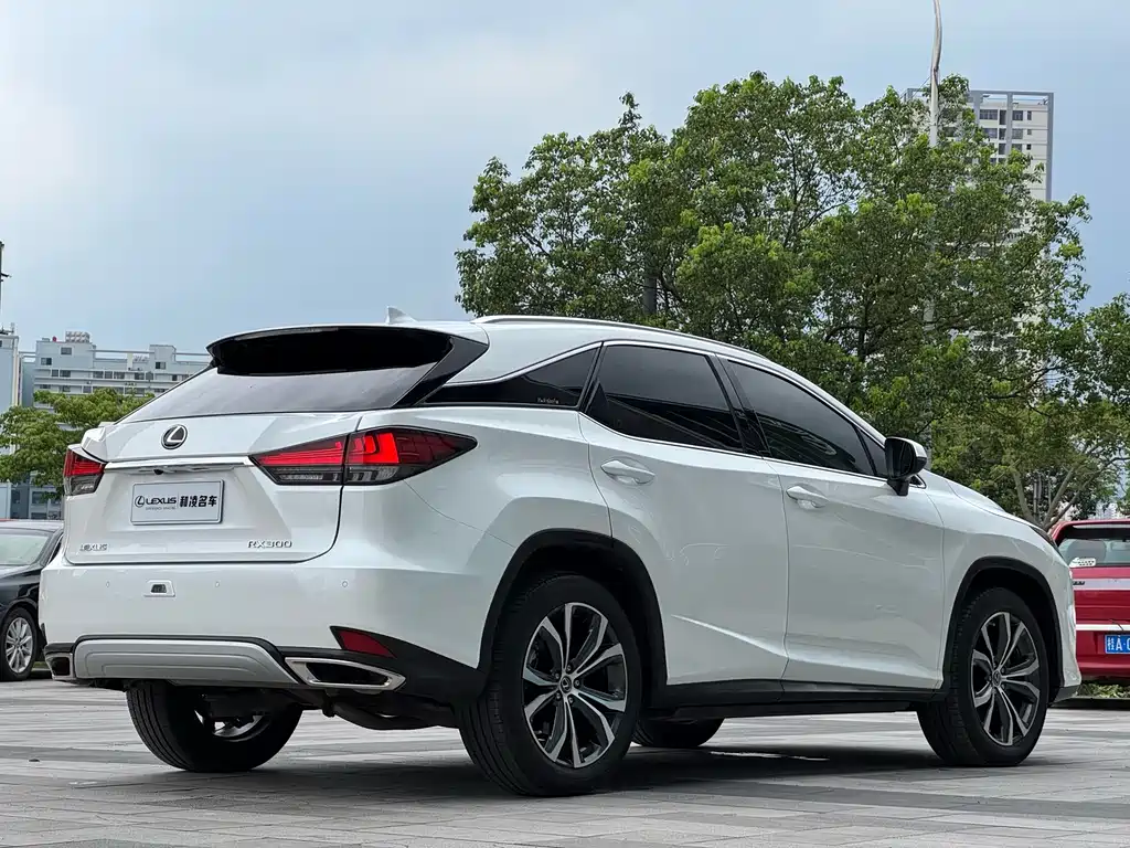 Lexus RX 2020 — фото 6