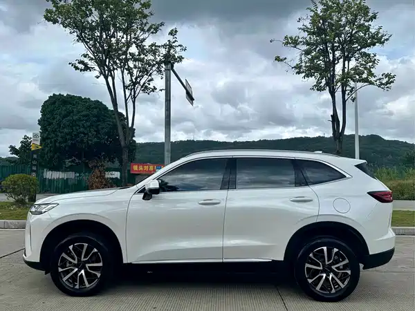Haval H6 2021