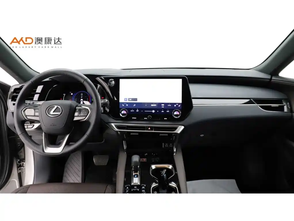 Lexus RX New Energy 2025 — фото 5