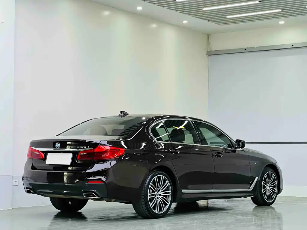 BMW 5 Series 2019 — фото 4