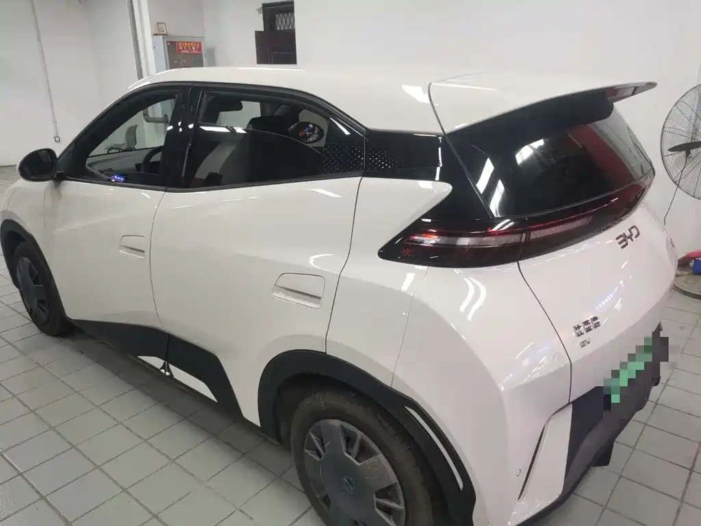 BYD Seagull 2024