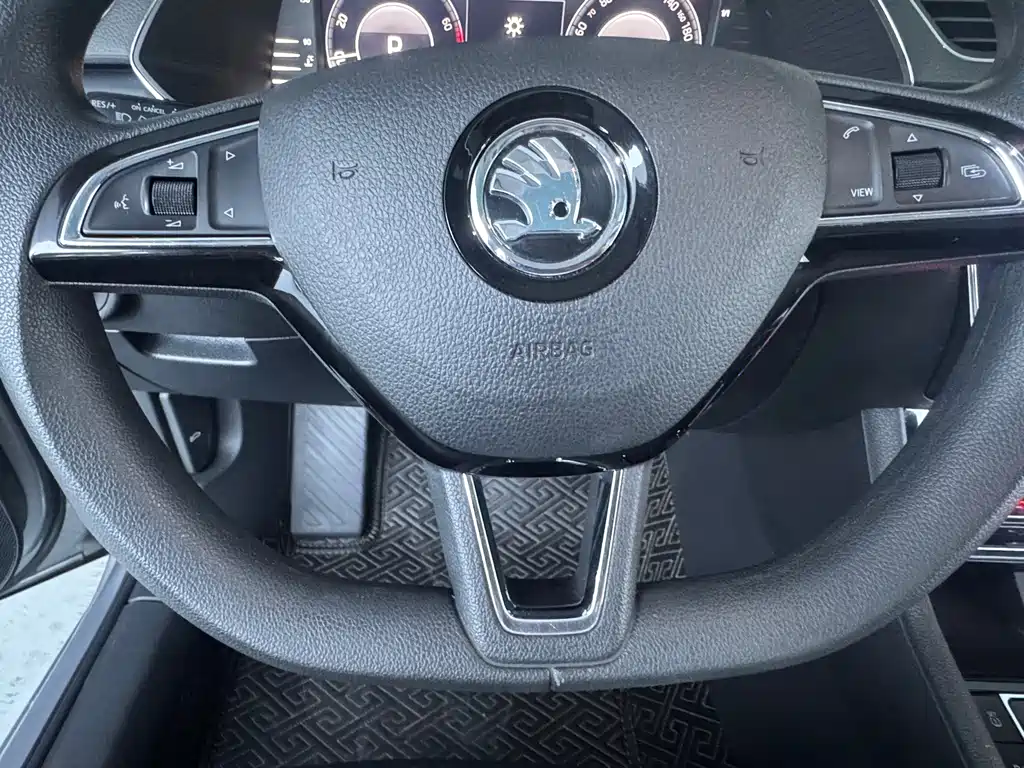 Skoda Speedy 2023 — фото 20