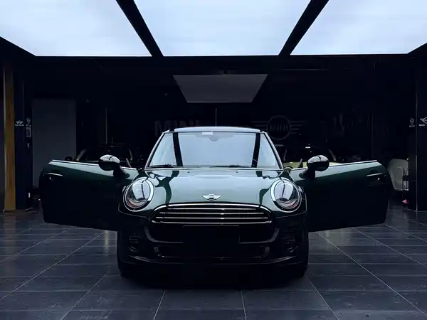 MINI 2017