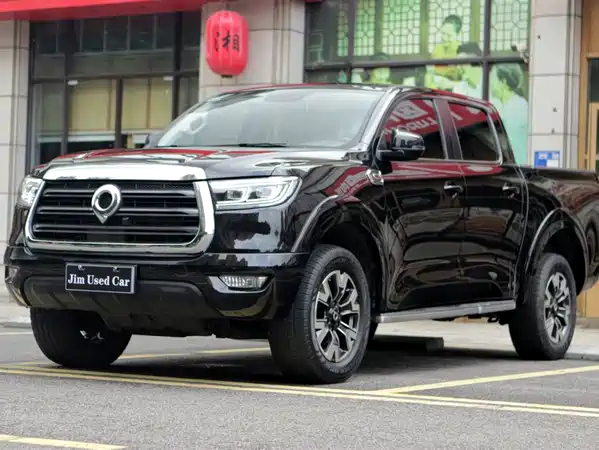 Great Wall Poer 2019