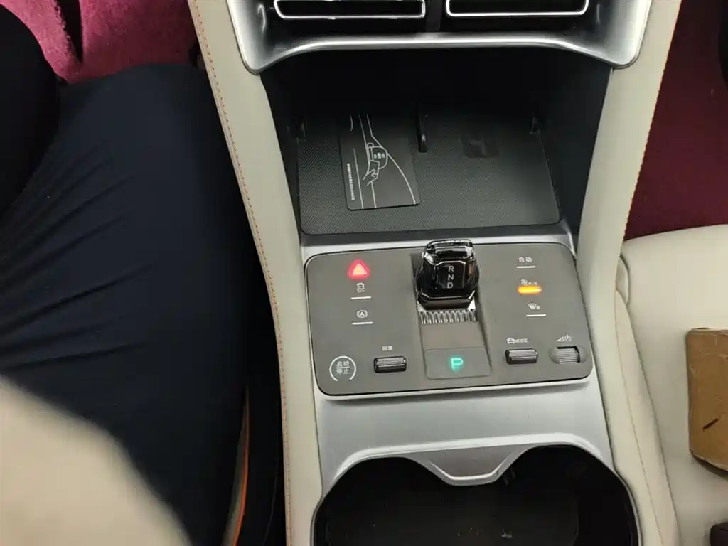 BYD PLUS New Energy 2024 — фото 14