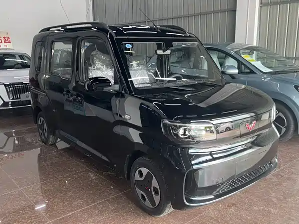 Wuling Zhiguang New Energy 2026
