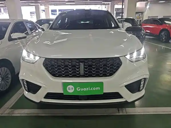 Wey VV5 2020