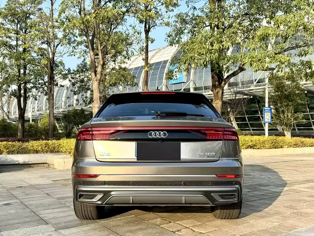 Audi Q8 2024 — фото 9