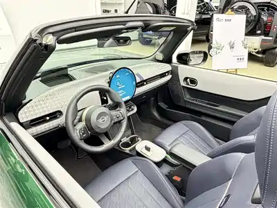 MINI MINI 2025