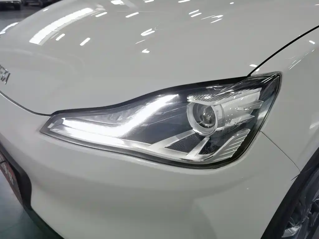 Neta V 2021