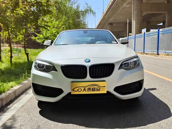 BMW 2 Series 2020 — фото 12