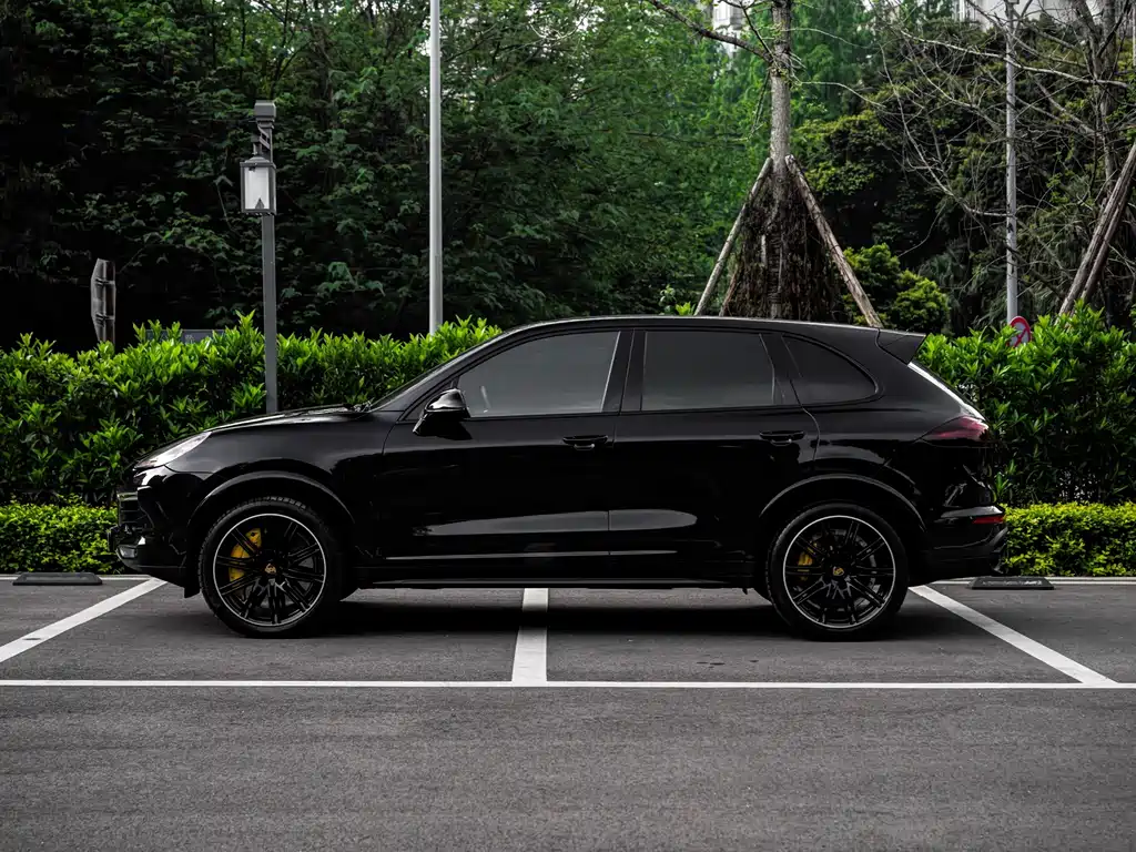 Porsche Cayenne 2017 — фото 2