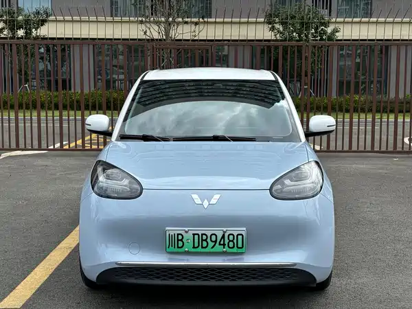 Wuling Bingo 2024