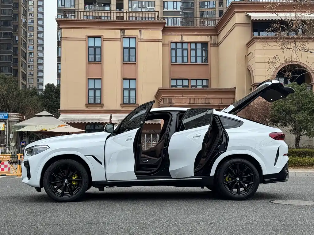 BMW X6 2021 — фото 15
