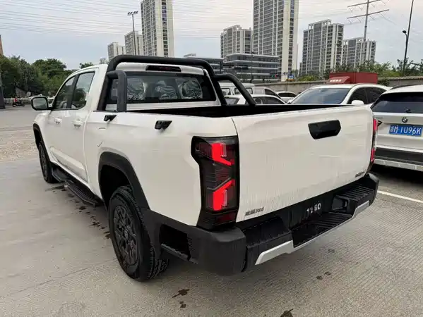 Weilin R08 2025