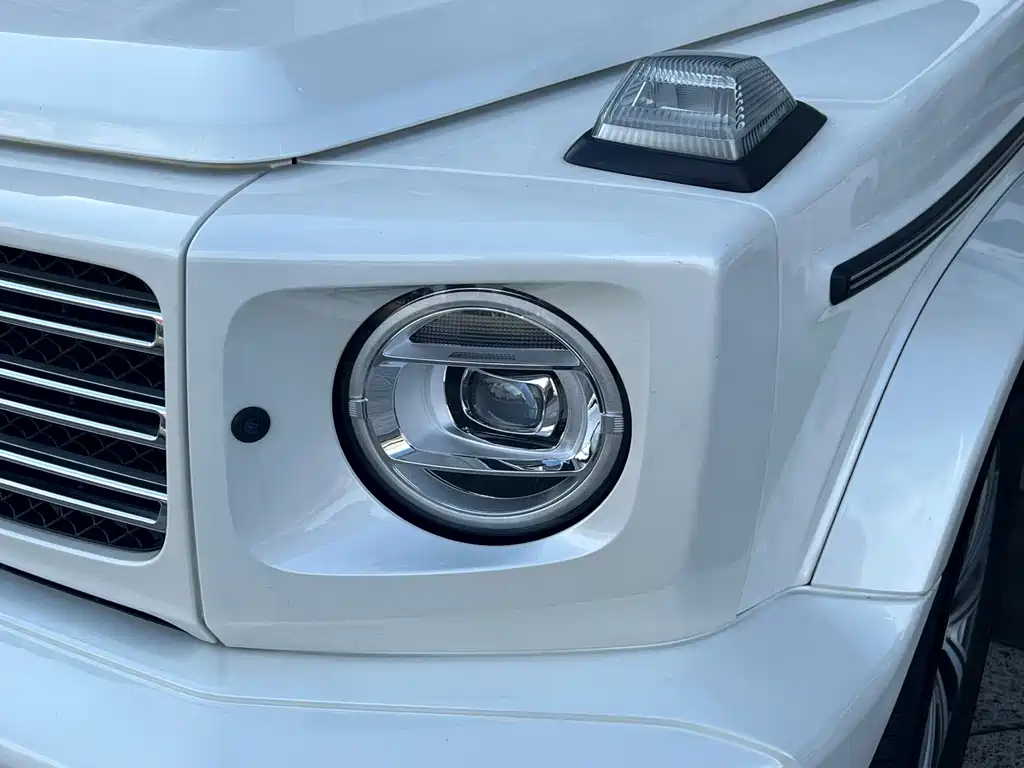 Mercedes-Benz G-Class 2019 — фото 17