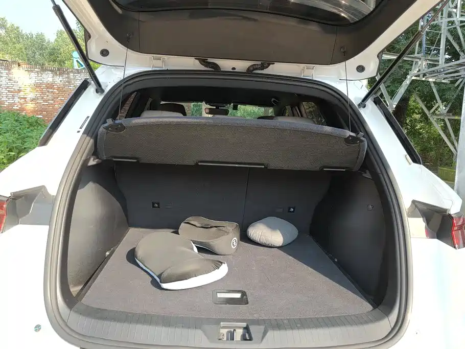 BYD Song Pro New Energy 2024 — фото 4