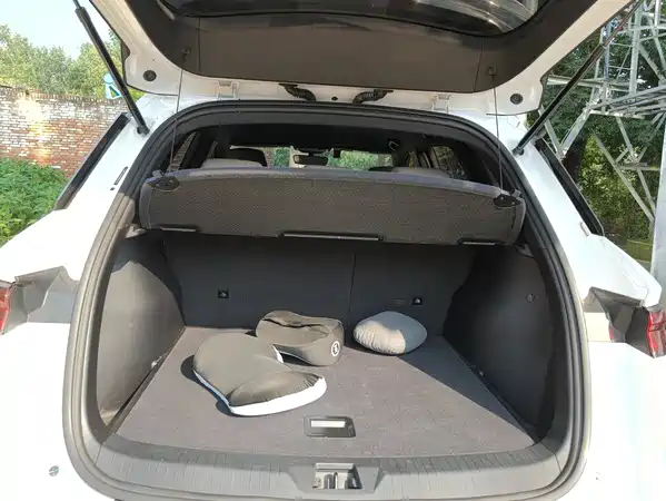 BYD Song Pro New Energy 2024