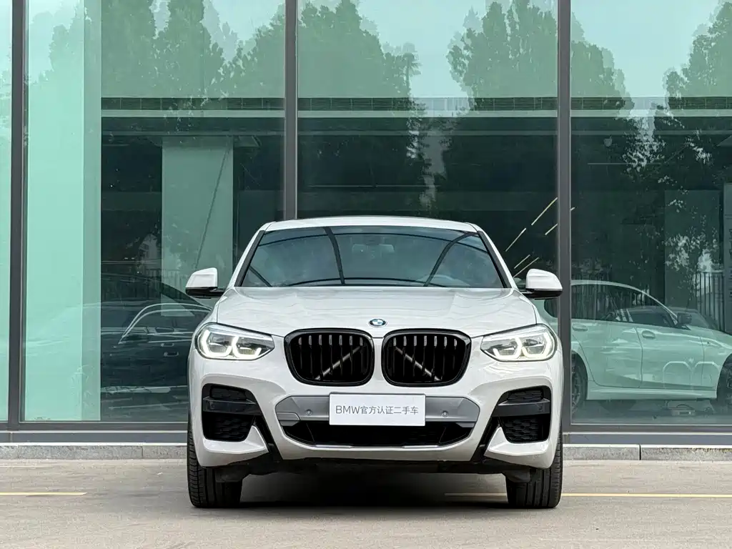 BMW X4 2019 — фото 5