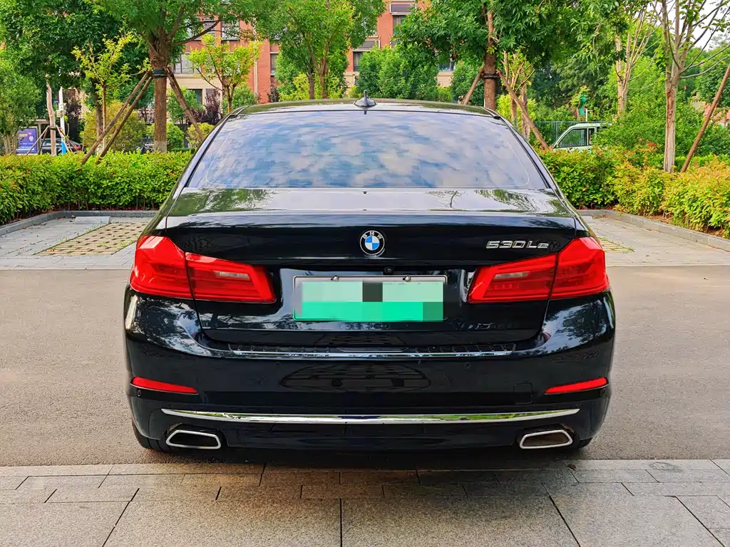 BMW 5 Series New Energy 2020 — фото 5