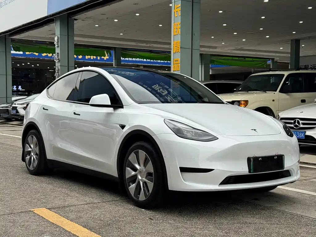 Tesla Model Y 2023 — фото 3