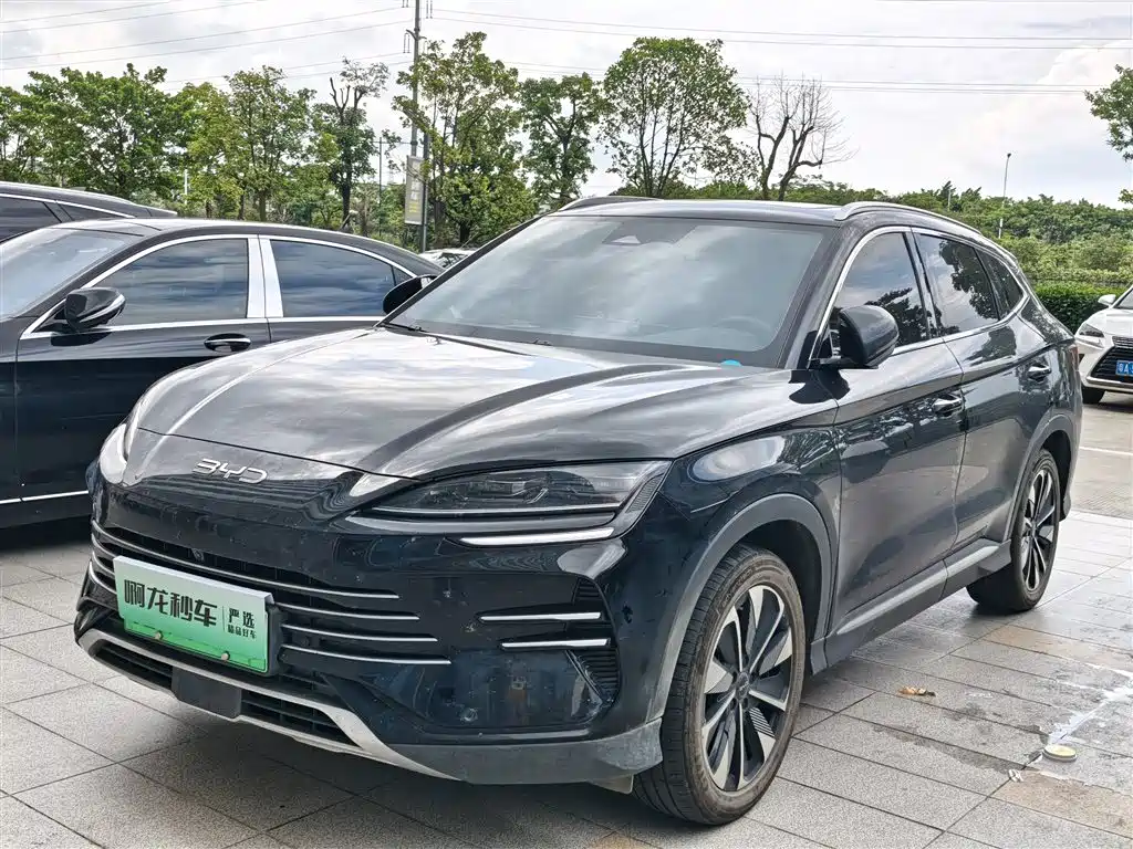 BYD PLUS New Energy 2024 — фото 1