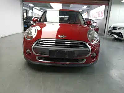 MINI MINI 2015