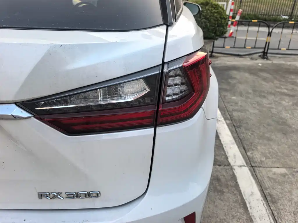 Lexus RX 2018 — фото 17