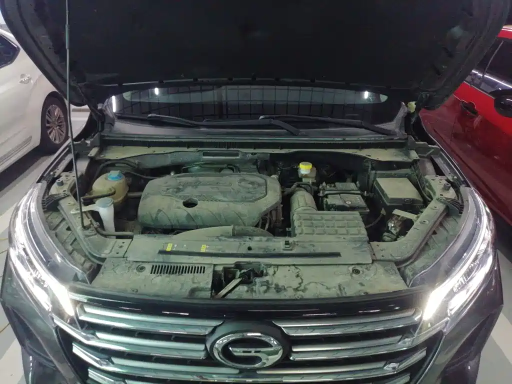 GAC Motor Trumpchi GS4 2022 — фото 20