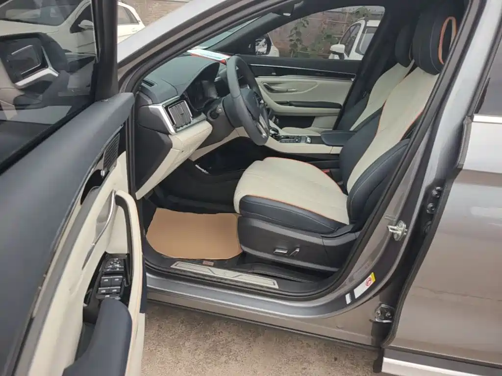 BYD PLUS New Energy 2022 — фото 16
