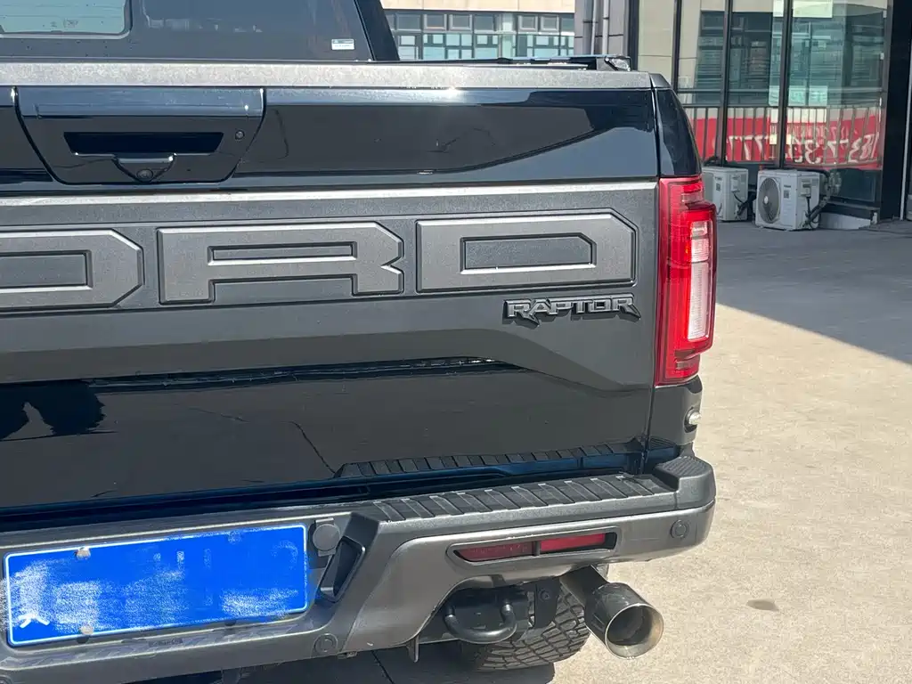 Ford F-150 Raptor 2019 — фото 8