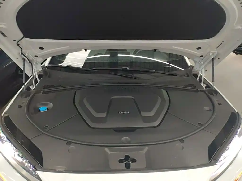 BYD PLUS New Energy 2024 — фото 20