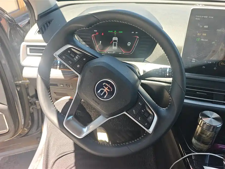 BYD Pro New Energy 2020 — фото 15