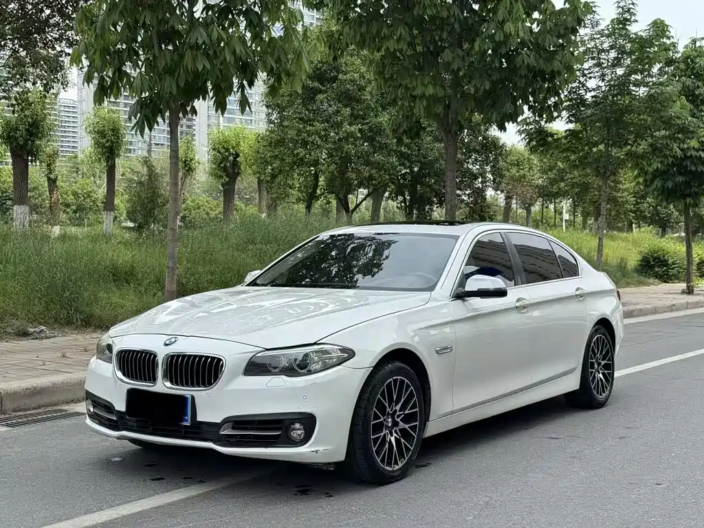BMW 5 Series 2014 — фото 2