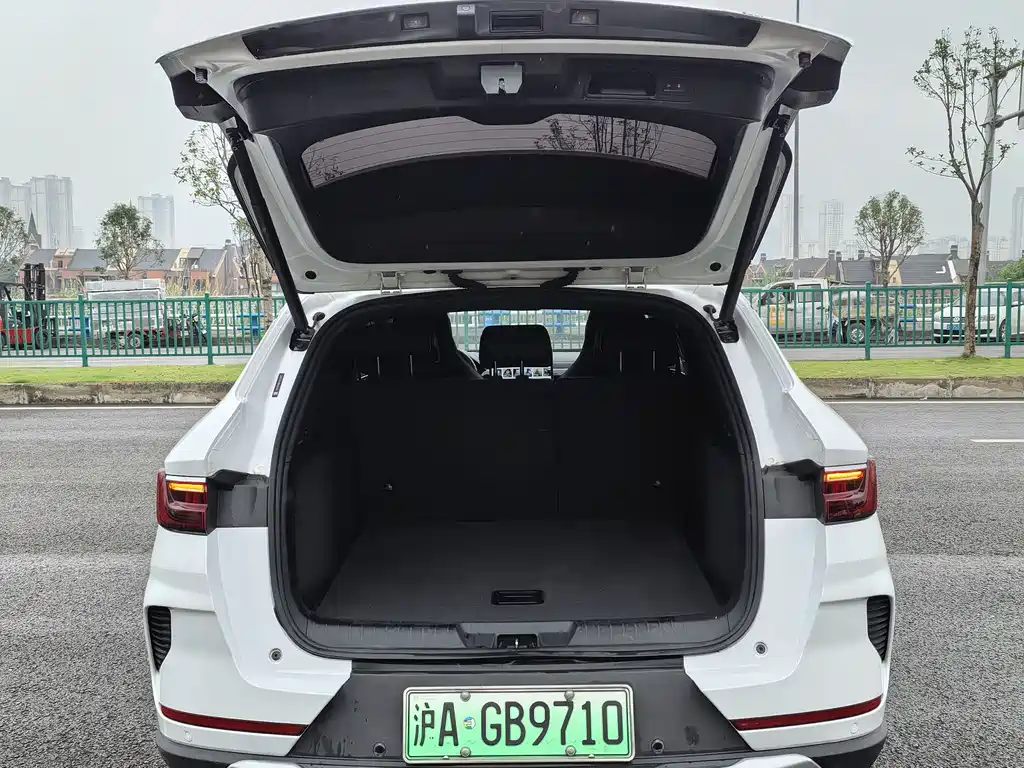 BYD PLUS New Energy 2021 — фото 16