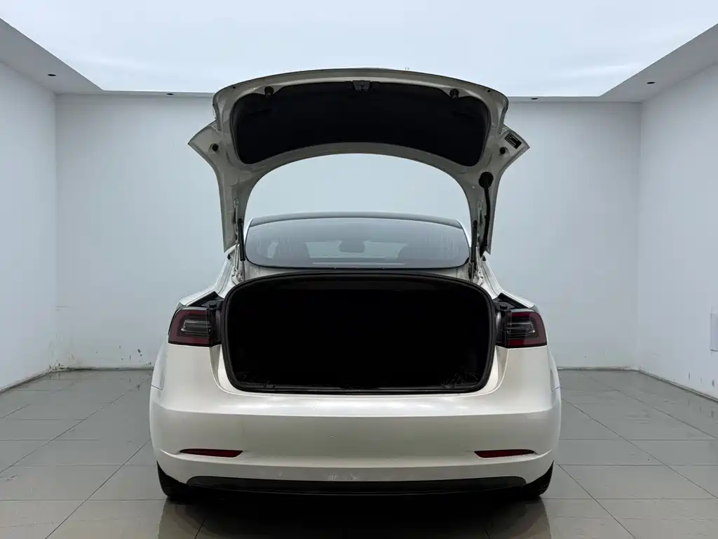 Tesla Model 3 2020 — фото 13