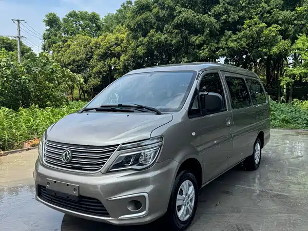 Dongfeng Lingzhi 2021