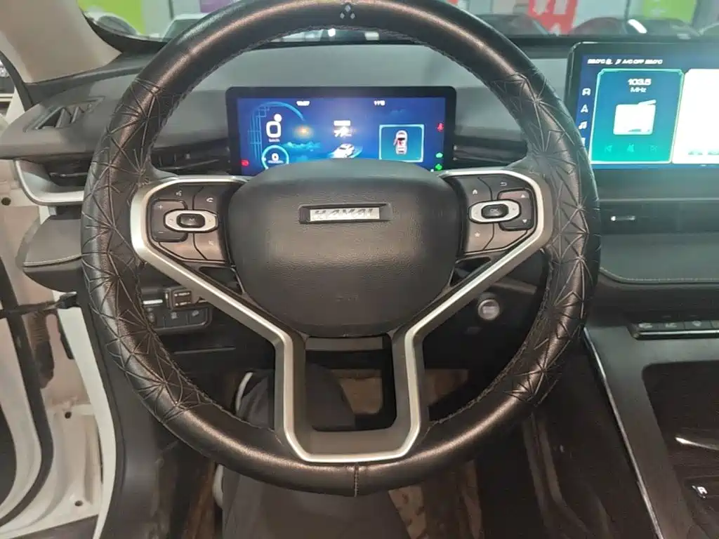 Haval H6 2023 — фото 11