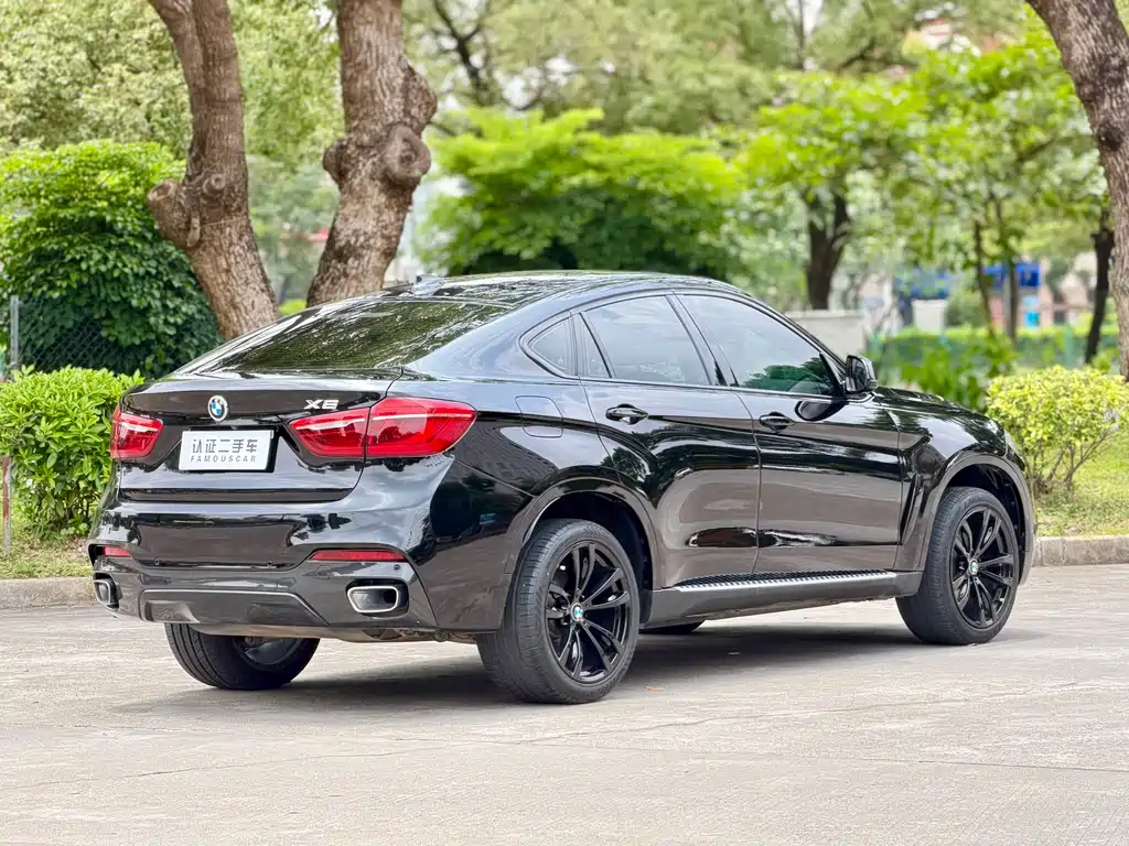 BMW X6 2019 — фото 5