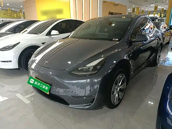 Tesla Model Y 2021