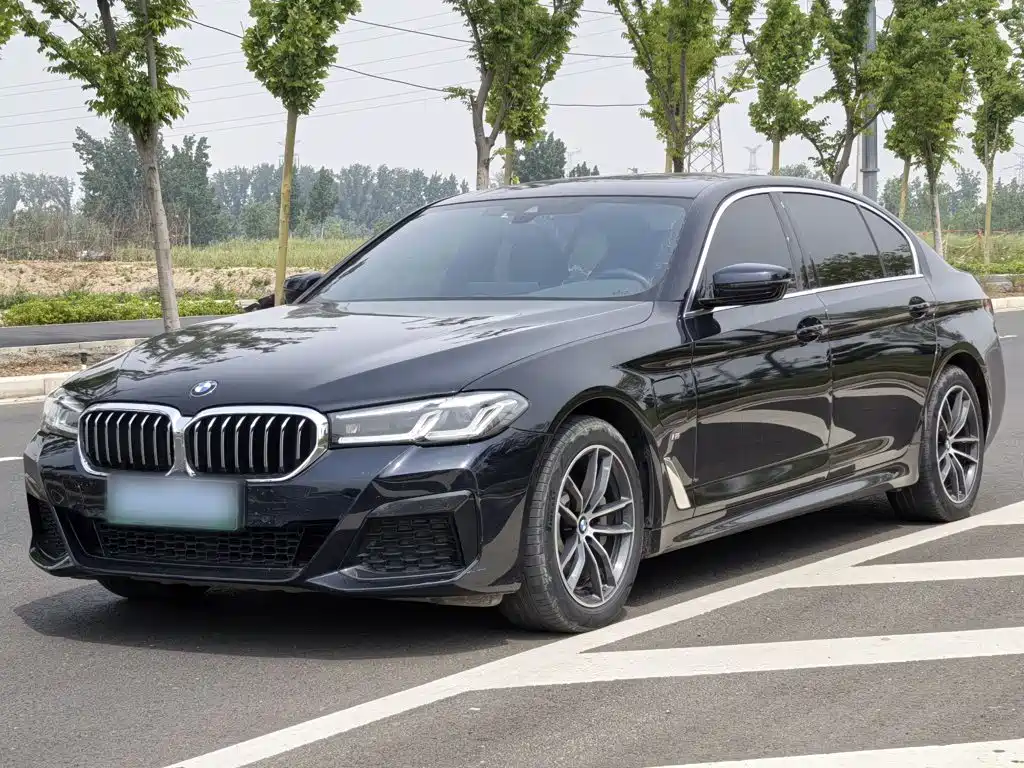 BMW 5 Series New Energy 2020 — фото 2
