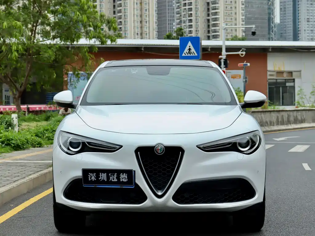 Alfa Romeo Stelvio 2019 — фото 2