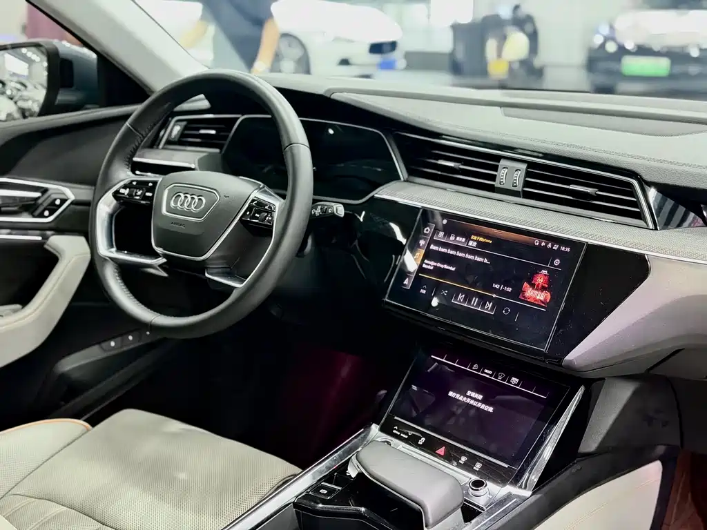 Audi e-tron 2021 — фото 11