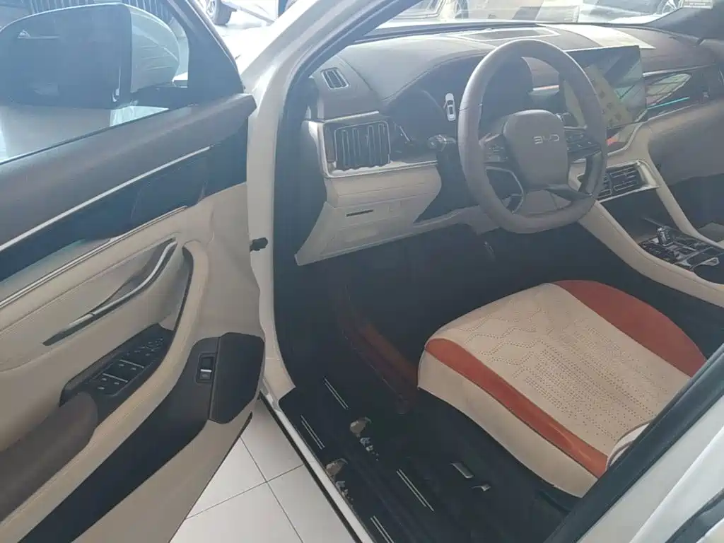 BYD PLUS New Energy 2025 — фото 16